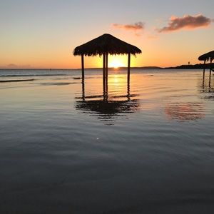 Meet your Posher, Beatriz